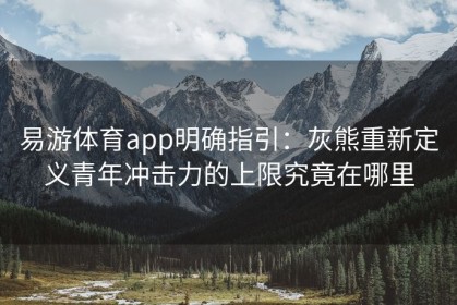 易游体育app明确指引：灰熊重新定义青年冲击力的上限究竟在哪里