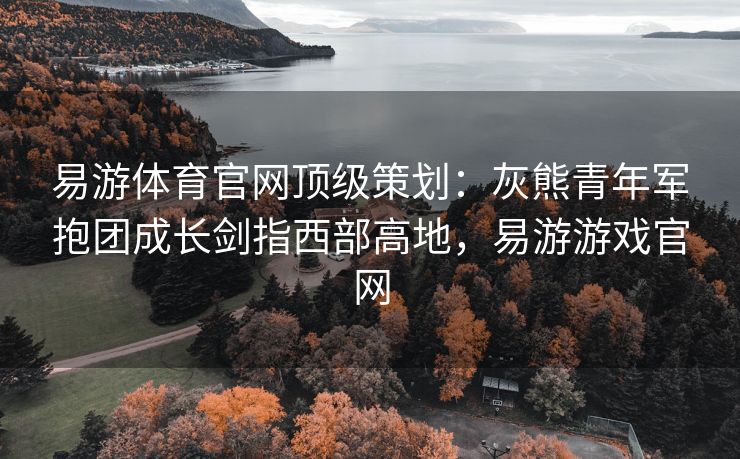 易游体育官网顶级策划：灰熊青年军抱团成长剑指西部高地，易游游戏官网