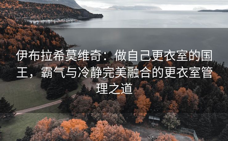 伊布拉希莫维奇：做自己更衣室的国王，霸气与冷静完美融合的更衣室管理之道