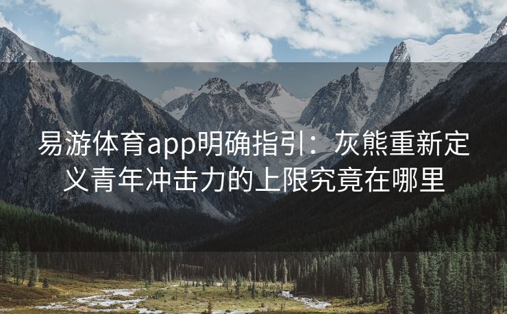 易游体育app明确指引：灰熊重新定义青年冲击力的上限究竟在哪里